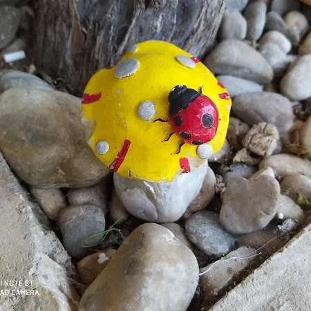 Διαμέρισμα Ante *