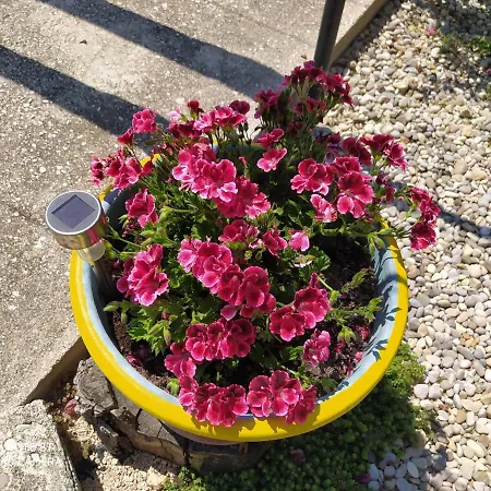 Διαμέρισμα Ante *