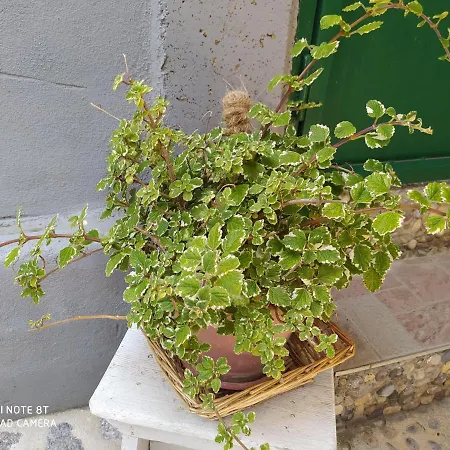 Ante Διαμέρισμα