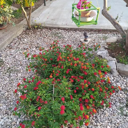 Apartmán Ante