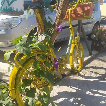 Διαμέρισμα Ante