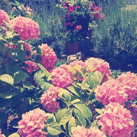 Διαμέρισμα Ante