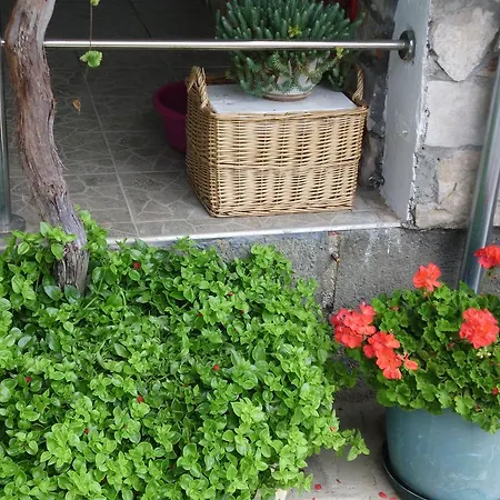 Ante Διαμέρισμα