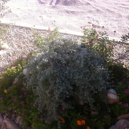 Διαμέρισμα Ante Tribalj