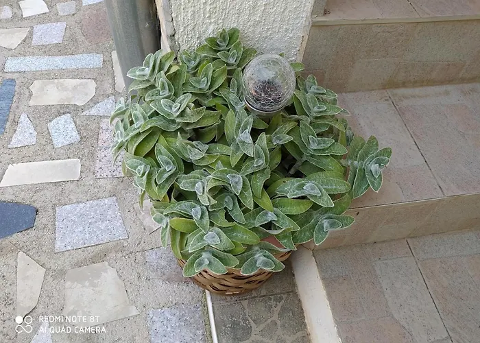 Appartement Ante Tribalj